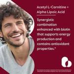 BESTVITE Acetyl L-Carnitina 500 mg + Ácido Alfa Lipoico 200 mg + Biotina