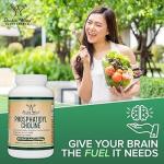 Double Wood Phosphatidylcholine Complex Supplement