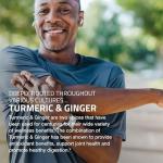 Bronson Turmeric + Ginger Supplement