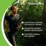 Nature Plus Cal/Mag/Vit D3 Supplement - Supports Bone & Immune Health